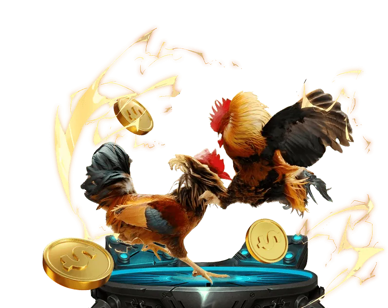 Tính Năng Ứng Dụng 24wim